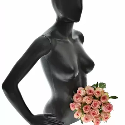 Kytica 15 bieloružových ruží JUMILIA 50cm