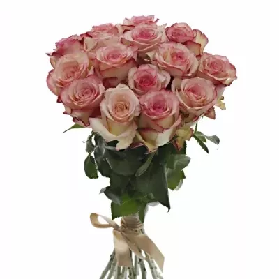 Kytice 15 bÍlorůžových růží TORMENTA