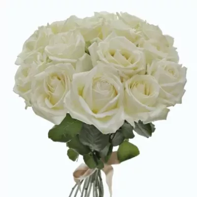 Kytice 15 bílých růží ALBATROS