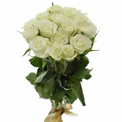 Kytice 15 bílých růží ASPEN 60cm
