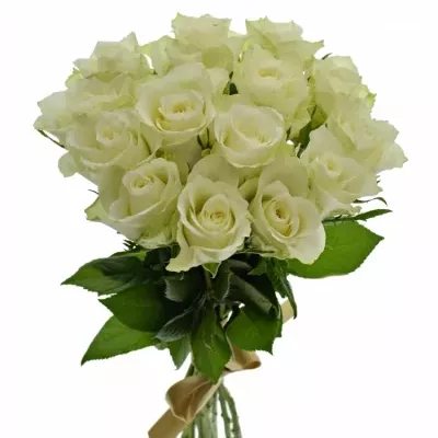 Kytice 15 bílých růží ATHENA 40cm