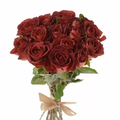 Kytice 15 červenohnědých růží CAFE DEL MAR