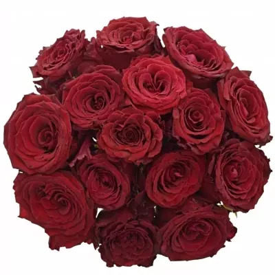 Kytice 15 červených růží ABBA