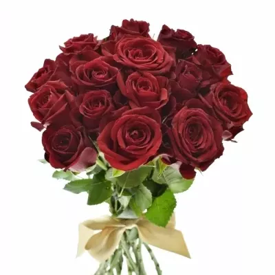 Kytice 15 červených růží FURIOSA 35cm