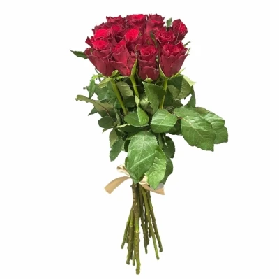 Kytice 15 červených růží INFRARED