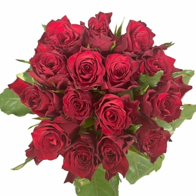Kytice 15 červených růží INFRARED 70 cm