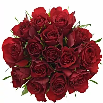 Kytice 15 červených růží MANDY 60cm