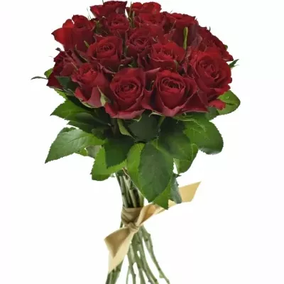 Kytice 15 červených růží MANDY 40cm