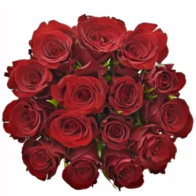 Kytice 15 červených růží MILLION REASONS 50cm