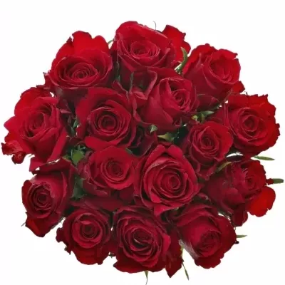 Kytice 15 červených růží NATURES RED 60cm