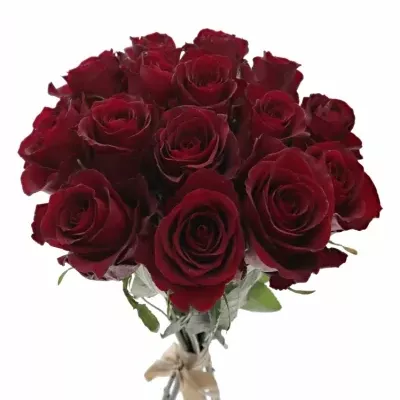 Kytice 15 červených růží NAZCA 35cm