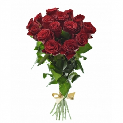 Kytice 15 červených růží RED BENTLEY