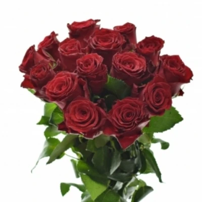 Kytice 15 červených růží RED BENTLEY