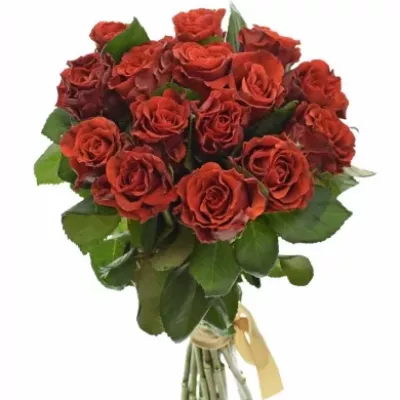 Kytice 15 červených růží RED CORVETTE