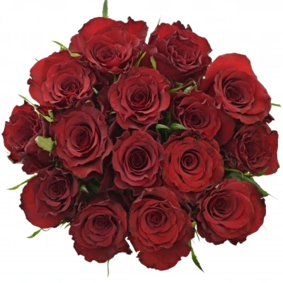 Kytice 15 červených růží RED MOUNTAIN