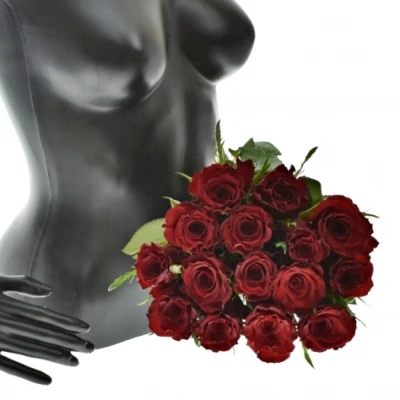 Kytice 15 červených růží RED MOUNTAIN