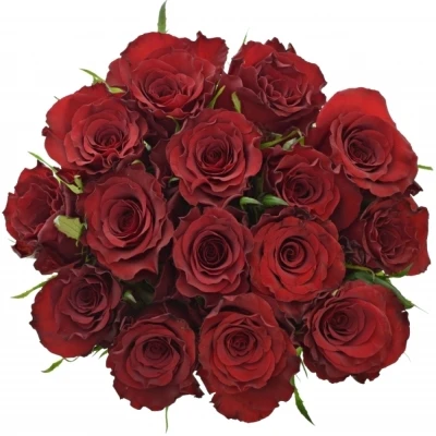 Kytice 15 červených růží RED MOUNTAIN