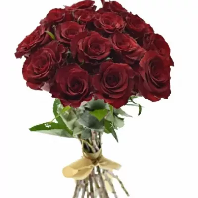 Kytice 15 červených růží RED PARIS 50cm