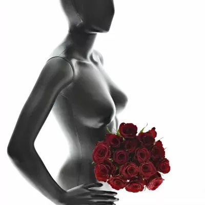 Kytice 15 červených růží RED PARIS 50cm