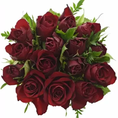Kytice 15 červených růží RHYTHM 50cm