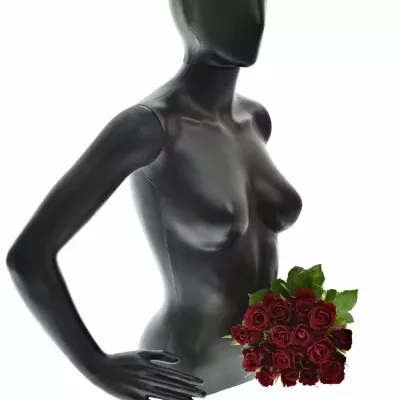 Kytice 15 červených růží SAMOURAI 60cm