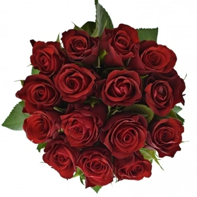 Kytice 15 červených růží SIMPLY RED 70 cm