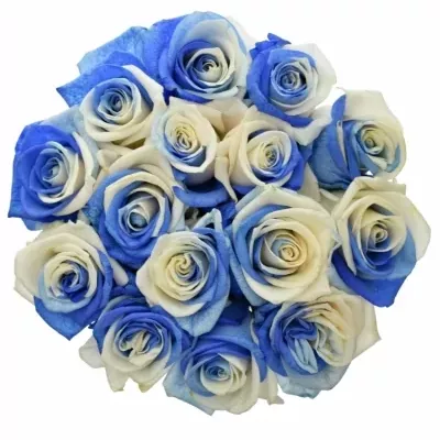 Kytica 15 dúhových ruží RAINBOW BLUEWHITE 50cm