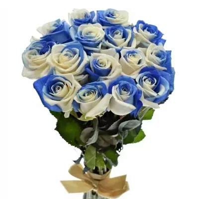 Kytice 15 duhových růží RAINBOW BLUEWHITE 50cm