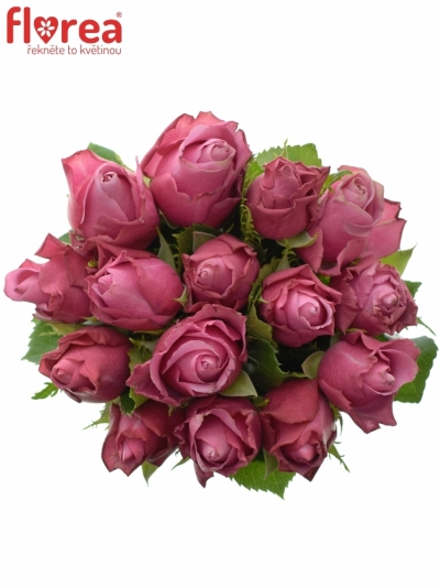 Kytice 15 fialových růží DEEP WATER 50cm