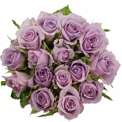 Kytice 15 fialových růží JAZZ 40cm