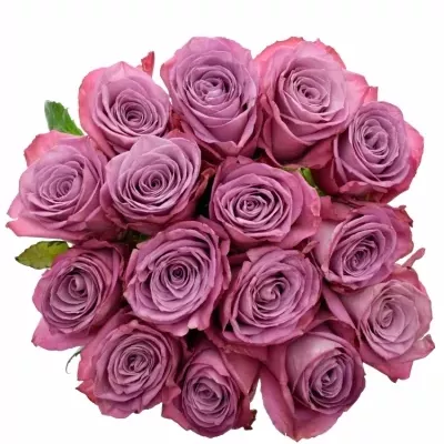 Kytica 15 fialových ruží MOODY BLUES 80cm