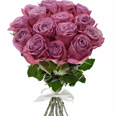Kytice 15 fialových růží MOODY BLUES 80cm