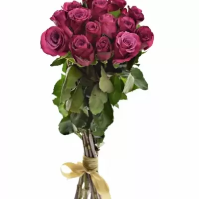 Kytice 15 fialových růží SHOGUN 40cm