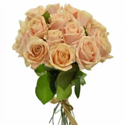Kytice 15 krémových růží PEARL AVALANCHE+ 50cm