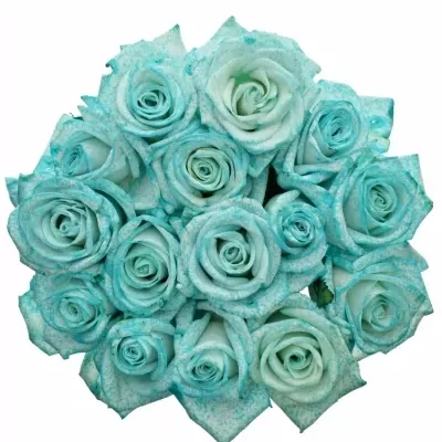 Kytice 15 modrých růží ICE BLUE VENDELA 70 cm