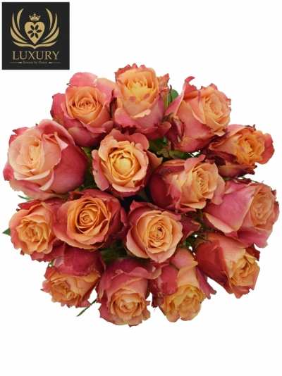 Kytice 15 luxusních růží 3D 70cm