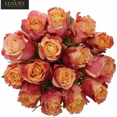 Kytice 15 luxusních růží 3D 50cm