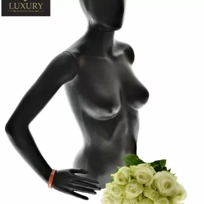 Kytice 15 luxusních růží ADALONIA 90cm