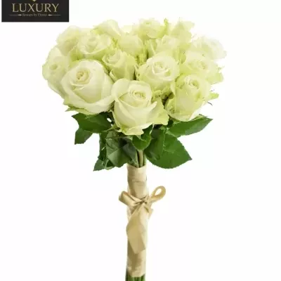 Kytice 15 luxusních růží ADALONIA 90cm