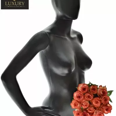 Kytice 15 luxusních růží BLUSH 70cm