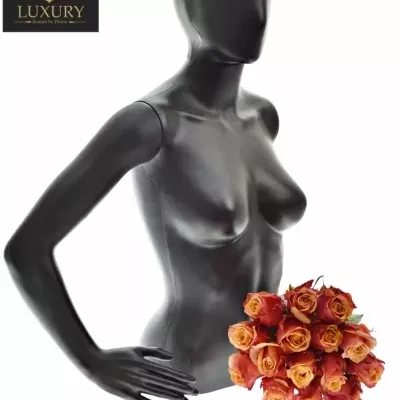 Kytice 15 luxusních růží CHERRY BRANDY 70cm