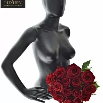Kytice 15 luxusních růží EVER RED 100cm