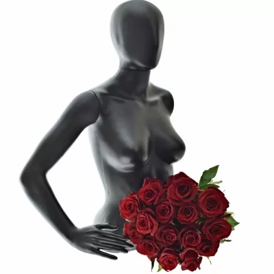 Kytice 15 luxusních růží EVER RED