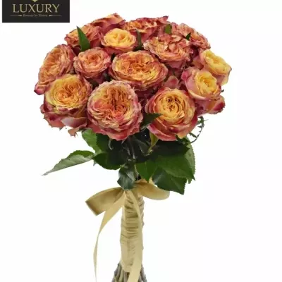 Kytice 15 luxusních růží HURRICANE 60cm