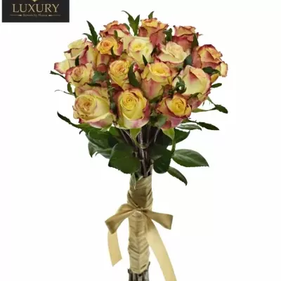 Kytice 15 luxusních růží KNOX 70cm
