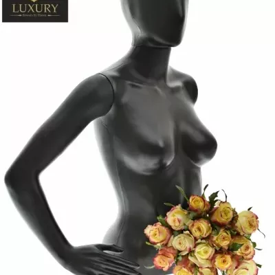 Kytice 15 luxusních růží KNOX 70cm