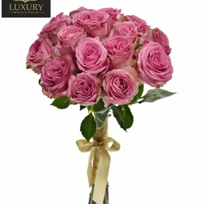 Kytice 15 luxusních růží PINK TORRENT 50cm