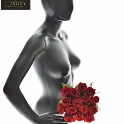 Kytice 15 luxusních růží RED EAGLE 60cm