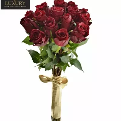 Kytice 15 luxusních růží RED LION 60cm