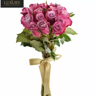 Kytice 15 luxusních růží ROCKFIRE 50cm